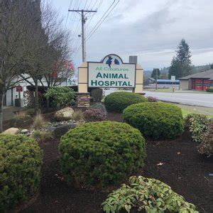 All Creatures Animal Hospital Bremerton - Providing Comprehensive Pet Care Services