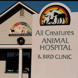 All Creatures Animal Hospital Crescent City: Providing Comprehensive Healthcare for Your Furry Friends