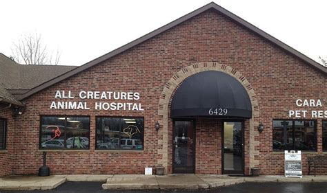 Expert Pet Care and Veterinary Services at All Creatures Animal Hospital Mt Washington - Exceptional Healthcare for Your Furry Friends