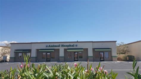 All Creatures Animal Hospital Pahrump: Compassionate Care for Your Furry Friends