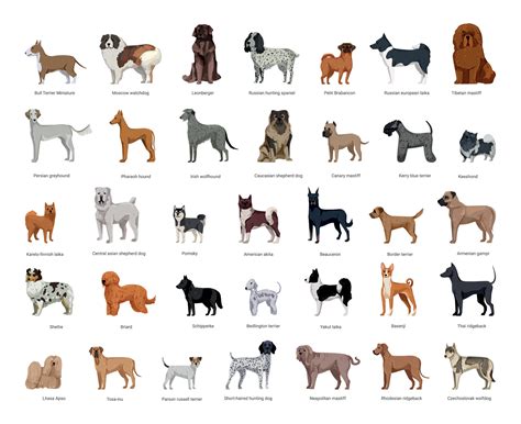 All Dog Breeds Images