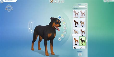 All Dog Breeds In Sims 4 Pets