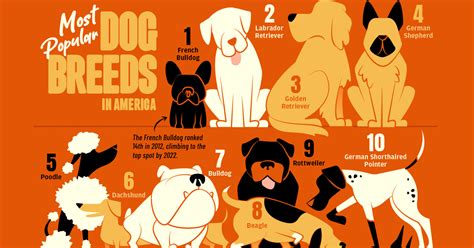 All Dog Breeds Ranked