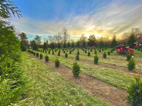 All Island Commercial Real Estate