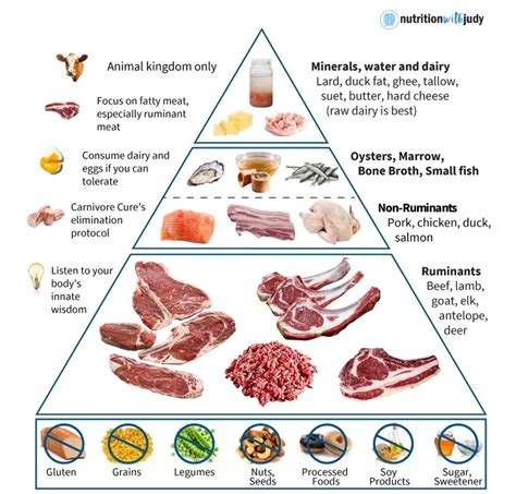 All Meat Diet