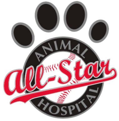 All Star Animal Hospital El Paso - Providing Quality Veterinary Care for Your Furry Friends