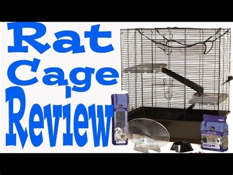 All Living Things® Rat Starter Kit | Small pets, Small dog cage, Petsmart