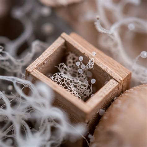 All year round availability