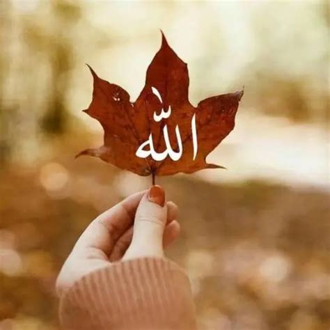 Allah Images For Whatsapp Dp