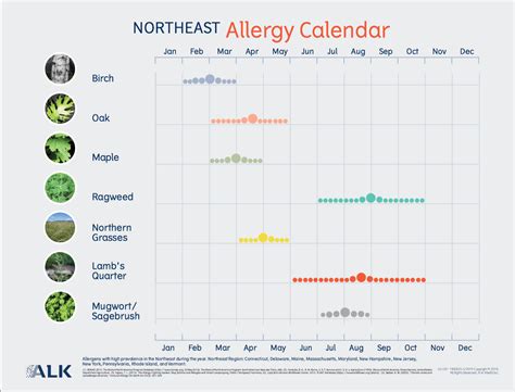 Allergy Ent Calendar