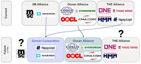 Alliance Membership vs. Independent Carriers
