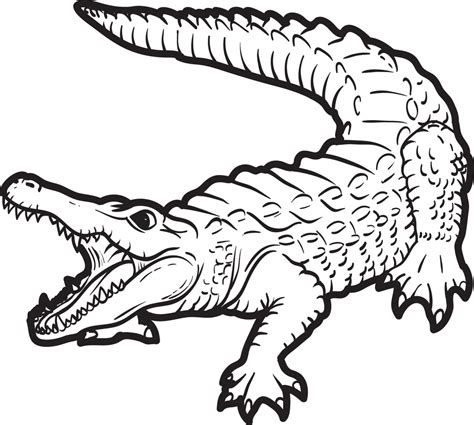 Alligator Printable Coloring Pages
