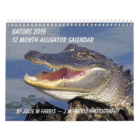 Alligator Aquatics Team Calendar