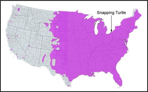 Leatherback Sea Turtle Distribution Map