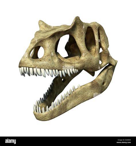 Allosaurus