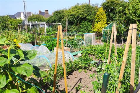 Allotment