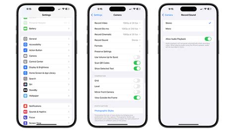 Allow Audio Playback Feature in iOS 18