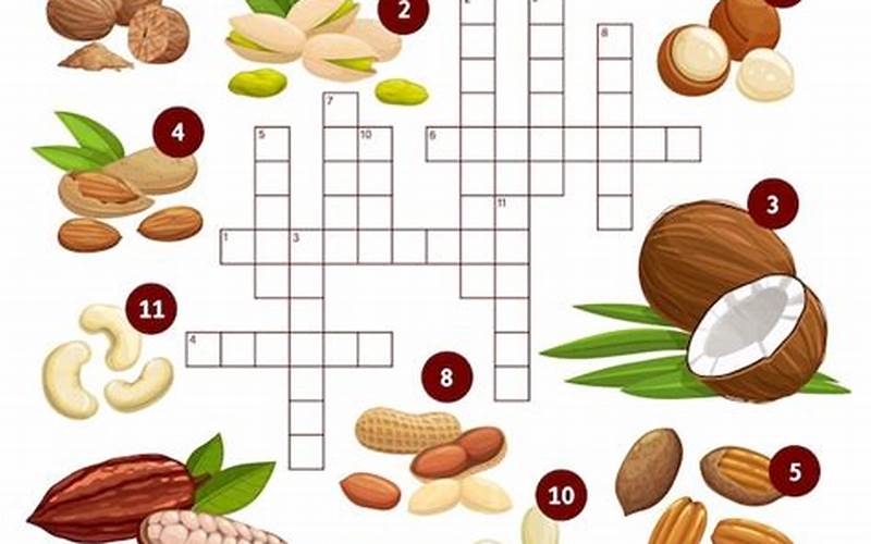 Almond Nut Crossword Clue