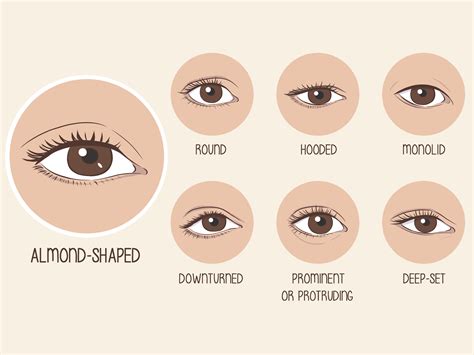 Almond eyes shape