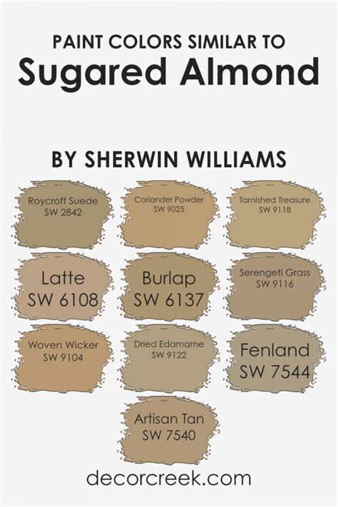 Discover the Elegance of Almond Paint Color - Perfect for Any Space!