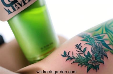 Aloe Gel For Tattoos