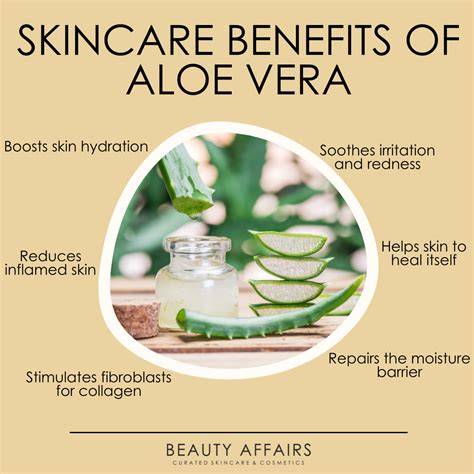 Unlock The Secret To Smooth and Radiant Skin with Nourishing Aloe Vera Oil