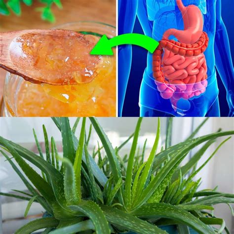 Aloe vera for digestive problems