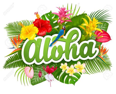 Aloha from the other side!