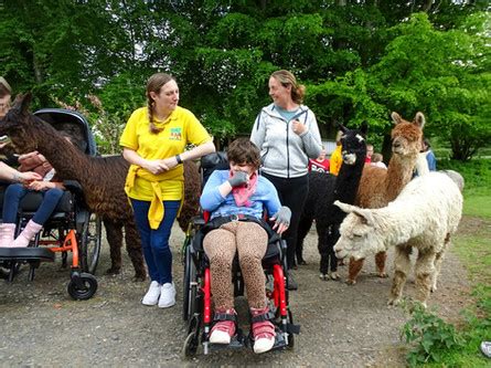 Alpaca Encounter Experiences