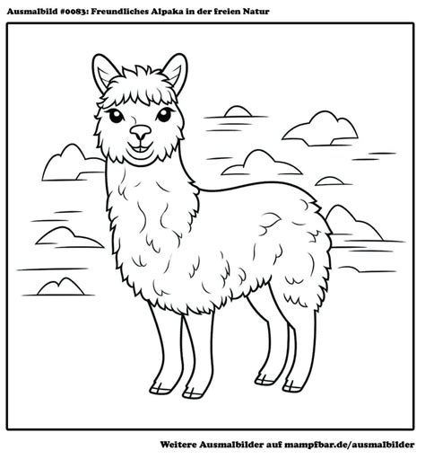 Alpaka Ausmalbild