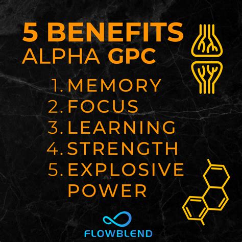 Alpha GPC Brain Benefits