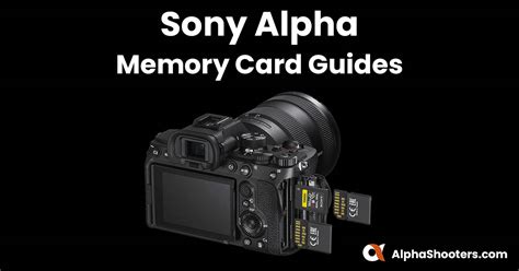 Alpha Memory