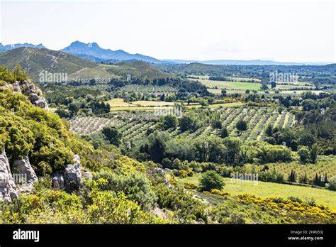 Alpilles landscape