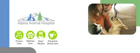 Top-Quality Veterinary Care at Alpine Animal Hospital Issaquah: Your Trusted Partner for Pet Health