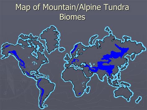 PPT The Tundra Biome! PowerPoint Presentation ID1428086