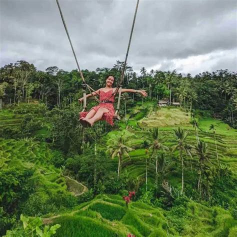 Alternative Activities Ubud