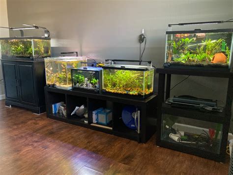 Alternative Aquarium
