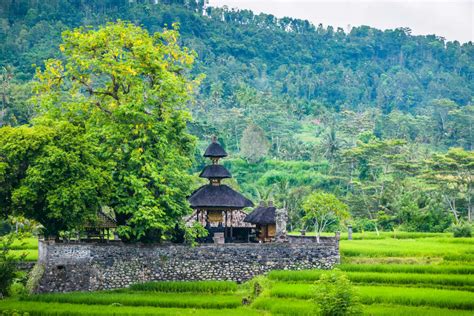 Alternative Ubud Tours