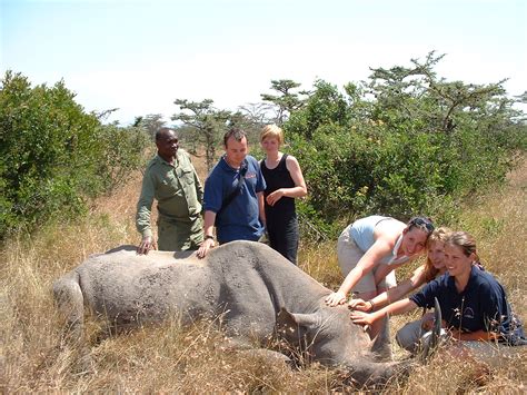 Alternative Wildlife Tour