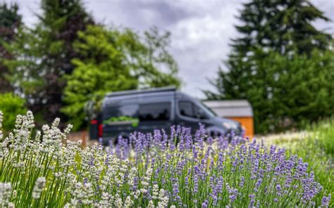 Alternative and Convenient Locations