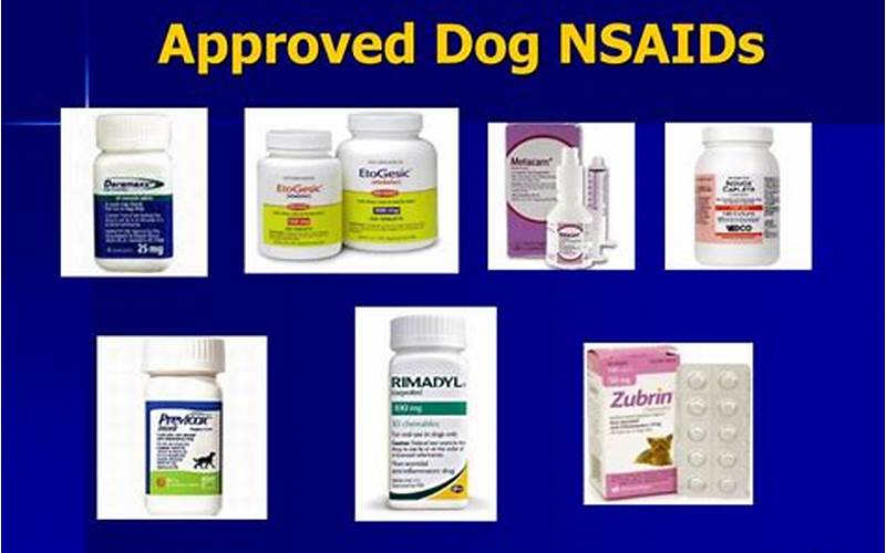 Alternatives To Nsaids For Dogs
