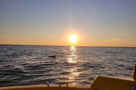 Alternatives Sunset Tour