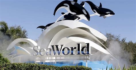 Alternatives To SeaWorld Shuttle