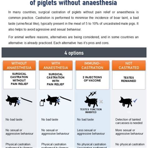 Alternatives to Castration