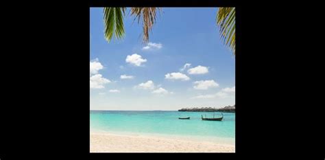 Alternatives to This Tour