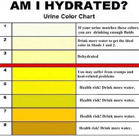 Am I Hydrated Urine Color Chart