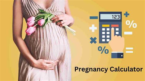 Am I Pregnant Calculator Percentage