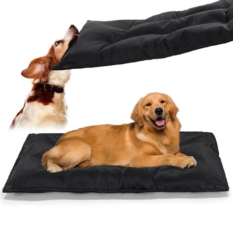 Amazing Beds For Dogs That Chew