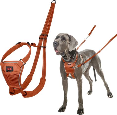 Amazing Best Harness To Stop Dog Pulling