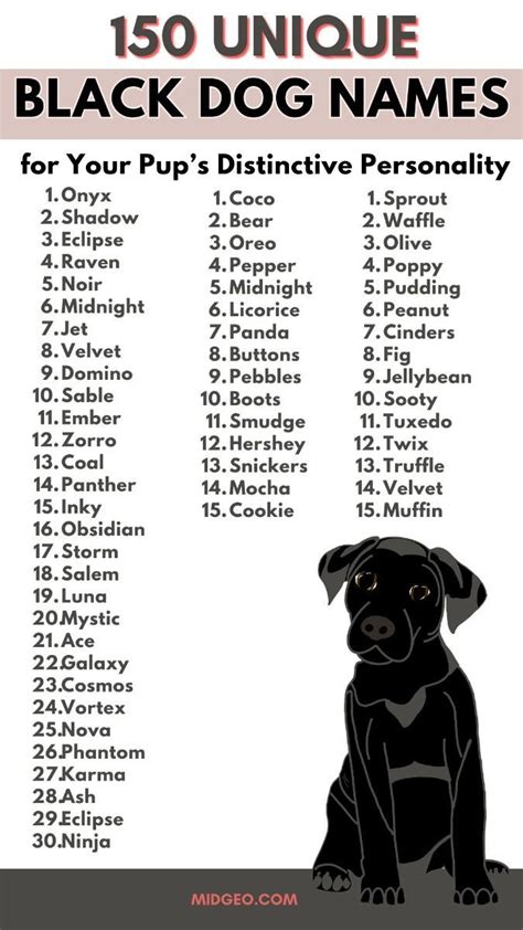 Amazing Black Puppy Names